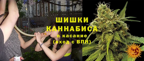 молекула духа Лиски