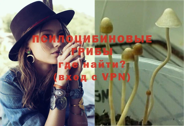 молекула духа Лиски